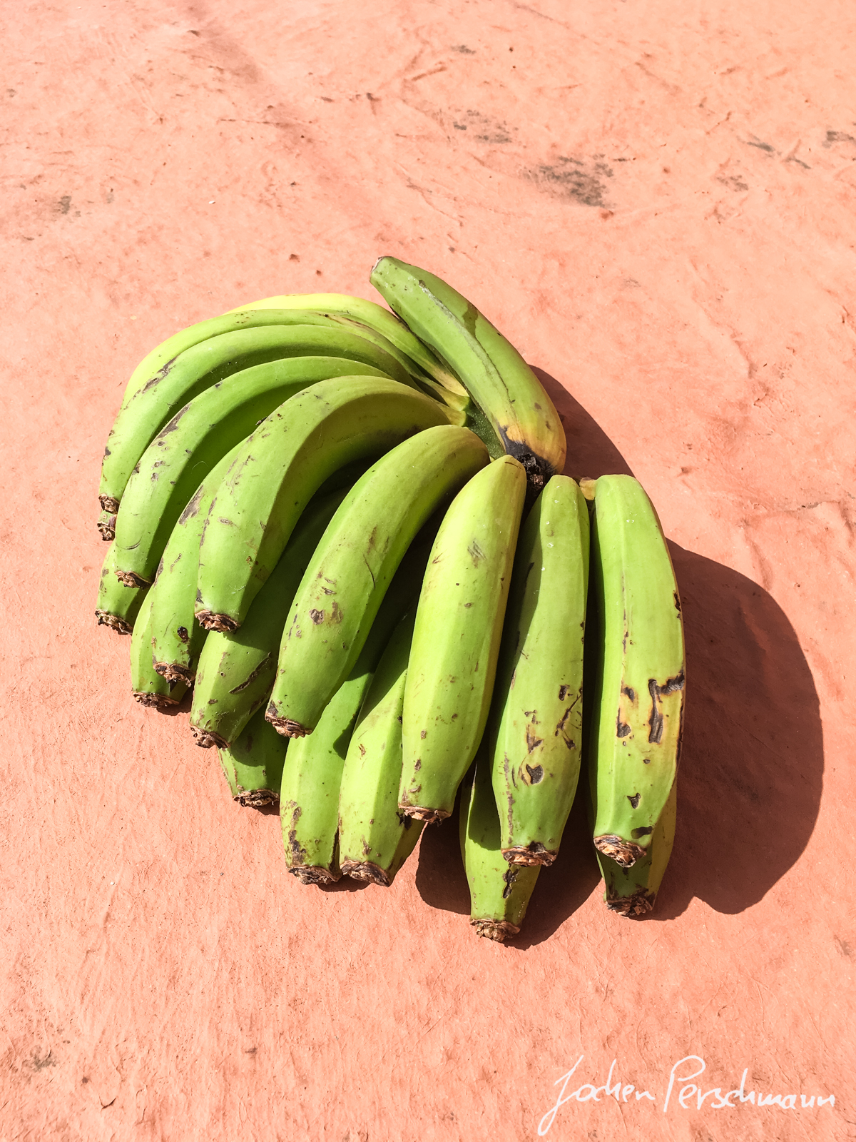 Auf der Nordinsel herrscht Subtropisches Klima sodass viele Früchte wie Bananen oder Maracujas angebaut werden