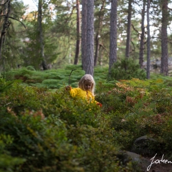 VÃ¤stervik, Schweden