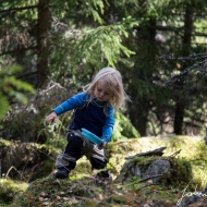 Auf Blaubeer suche